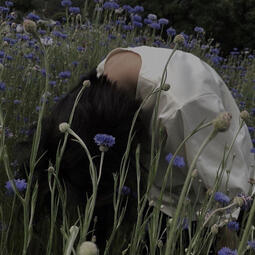 penis ╰（‵□′）╯